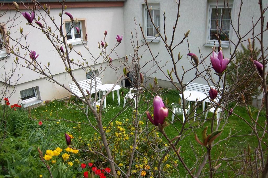 Bochmann Apartament