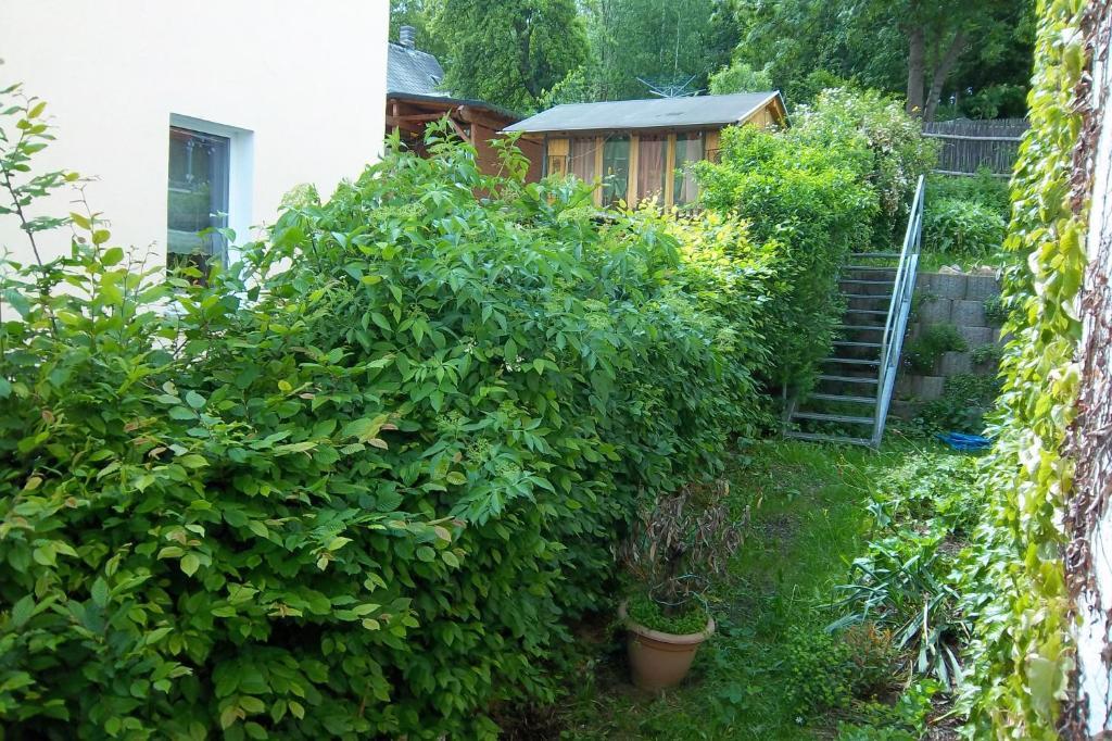 Apartament Bochmann *