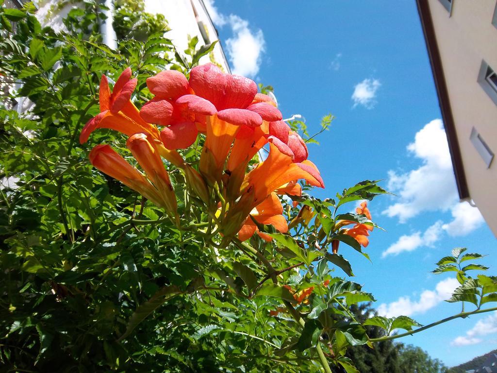 Apartament Bochmann