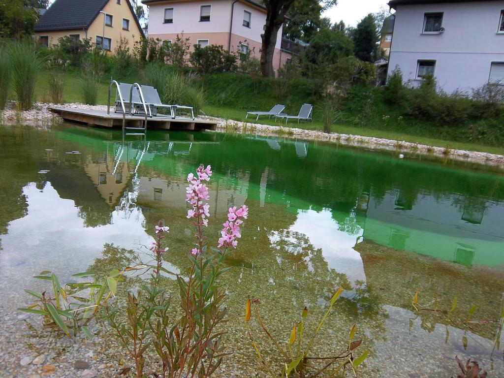 Apartment Bochmann Schneeberg (Saxony)